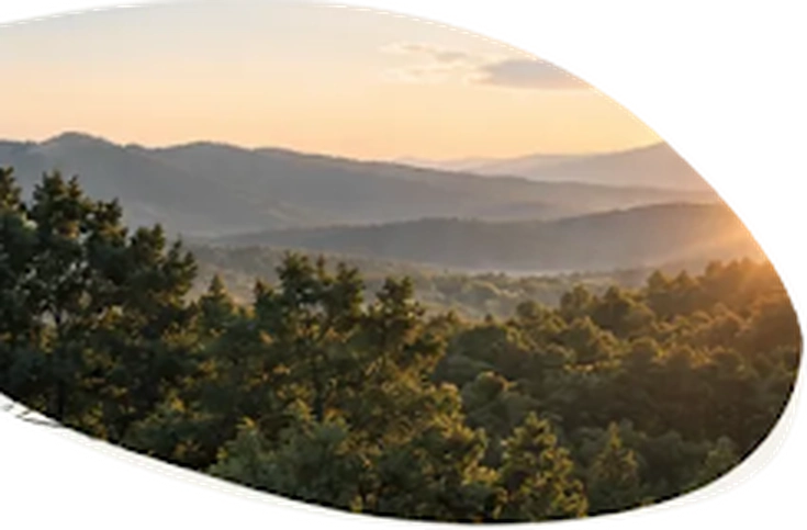 Golden evening light over the forested Blue Ridge Mountains near Asheville.